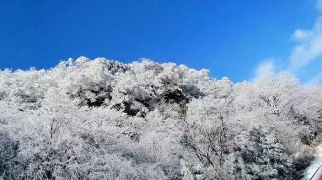 美杜莎之家