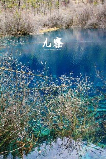 虫虫助手下载