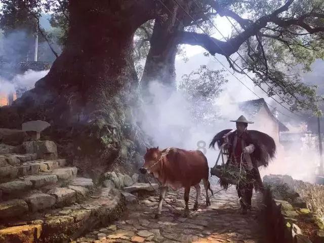 探索神秘小屋4