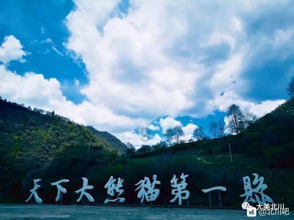 世界杯啦啦队员