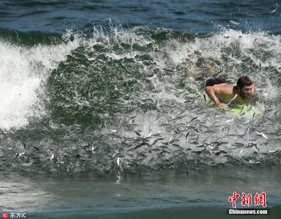 《原神》为什么闲云是风系角色,甘雨和申鹤却是冰系角色?