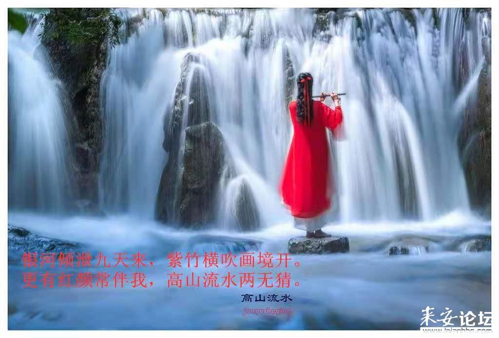 植物大战僵尸：花园战争