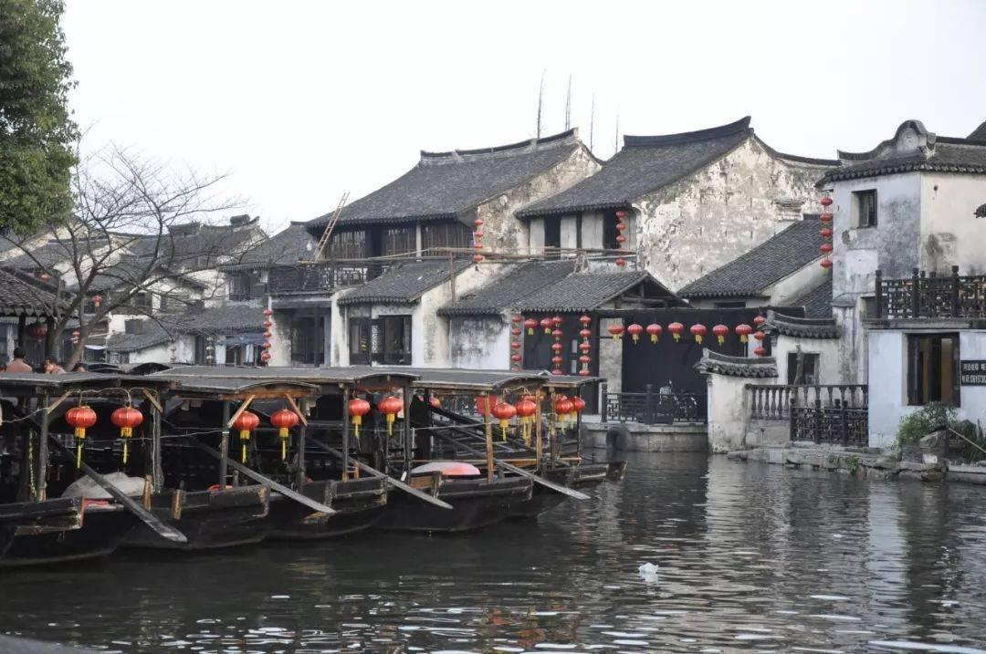 寻找萌小老虎