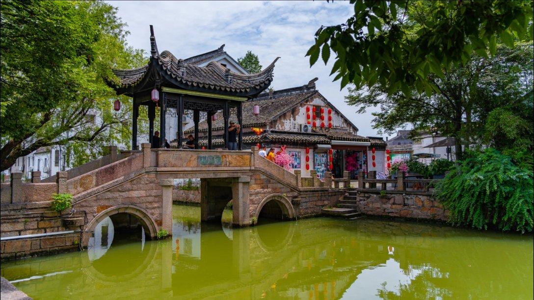 救援选美皇后